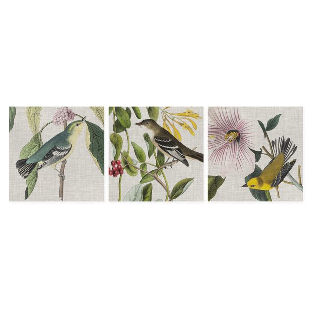 Wandbilder Vögel auf Leinen Set I