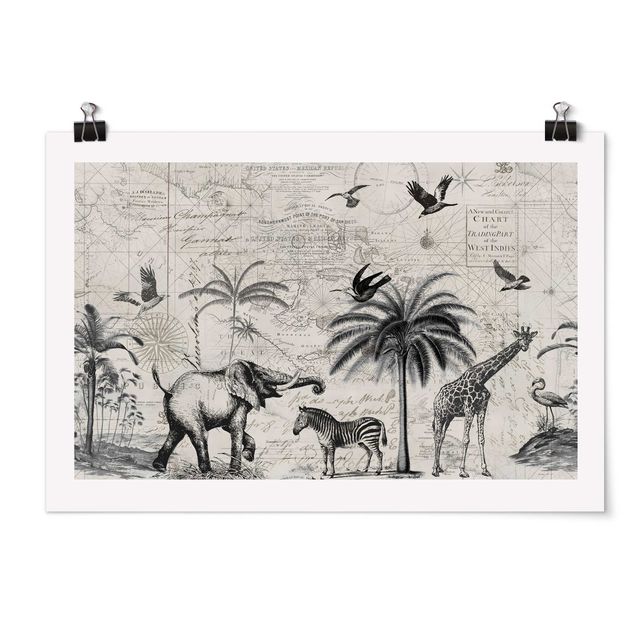 Wandbilder Zebras Vintage Collage - Exotische Landkarte