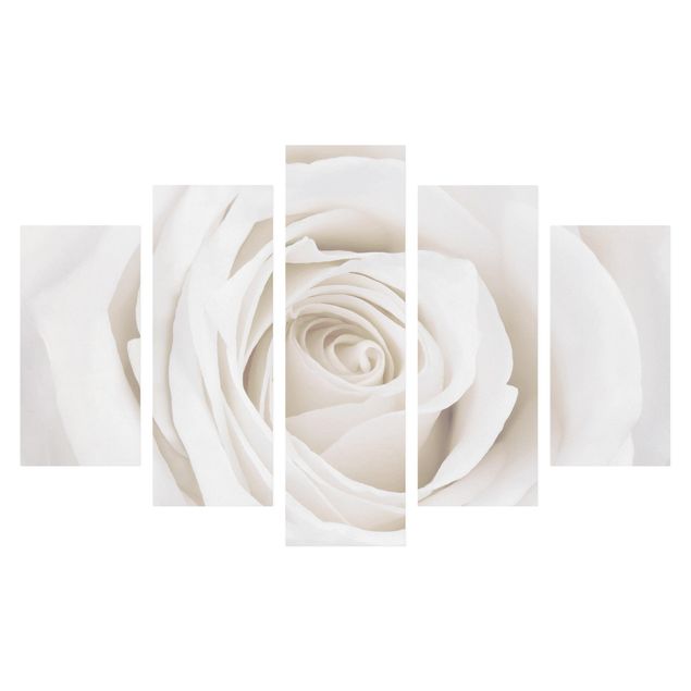 Leinwandbilder Blumen Pretty White Rose