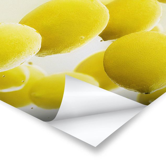 Poster bestellen Zitronen im Wasser