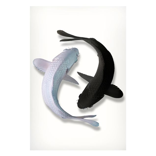 Wandbilder Fische Fische Ying & Yang