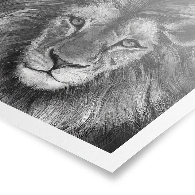 Tiere Poster Illustration Löwe Schwarz Weiß Malerei