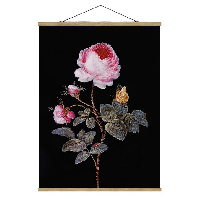 Wandbilder Barock Barbara Regina Dietzsch - Die hundertblättrige Rose