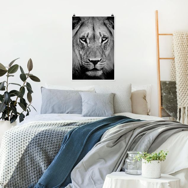 Poster schwarz-weiß Alter Löwe