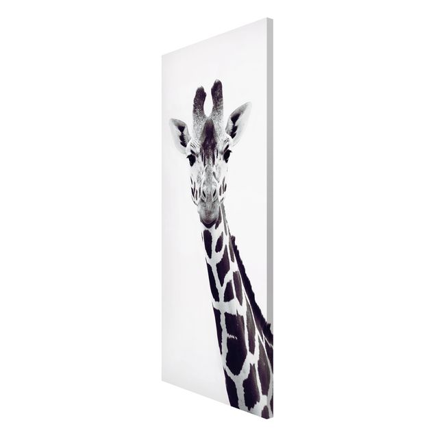 Magnettafel - Giraffen Portrait in Schwarz-weiß - Panorama Hochformat