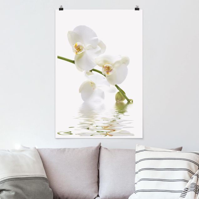 Wandbilder Orchideen White Orchid Waters