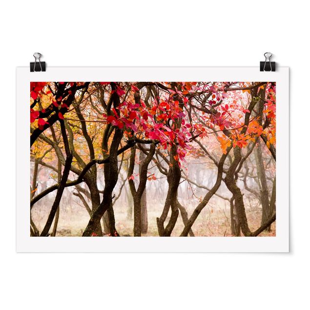 Poster Natur Japan im Herbst