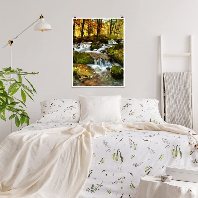 Wandbilder Landschaften Wasserfall herbstlicher Wald
