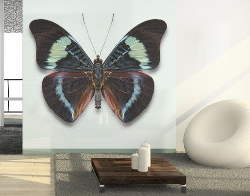 Wanddeko Küche Lepidoptera