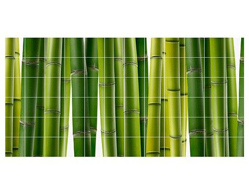 Fliesenfolie grün Bambuspflanzen