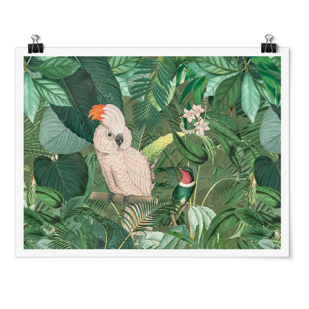 Kunstdrucke Poster Vintage Collage - Kakadu und Kolibri