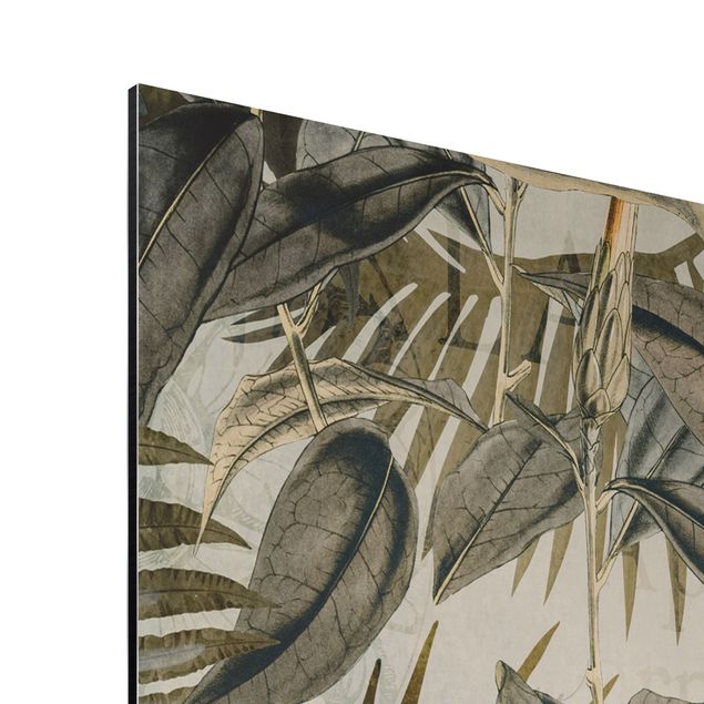 Wandbilder Kunstdrucke Vintage Collage - Tukan im Dschungel