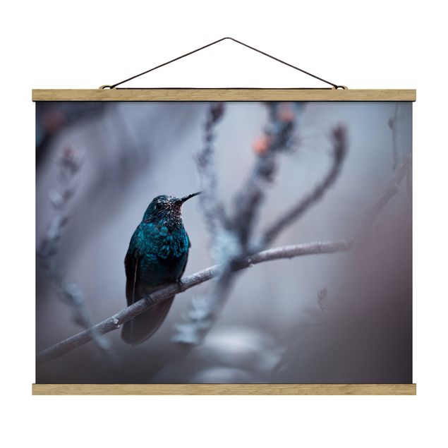 Wandbilder Tiere Kolibri im Winter