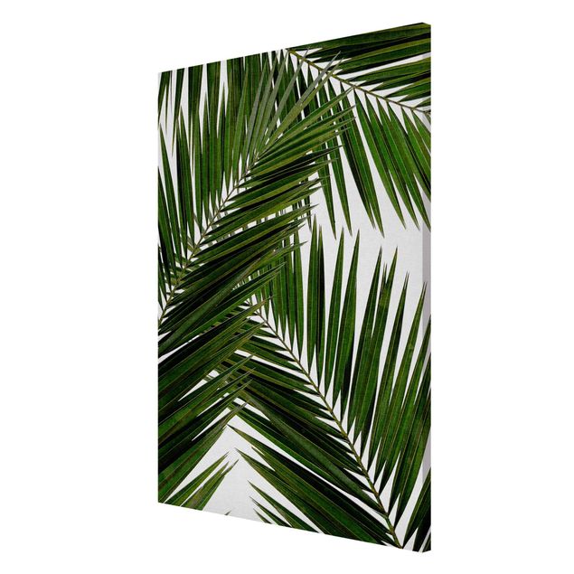 Magnettafel - Blick durch grüne Palmenblätter - Hochformat 2:3