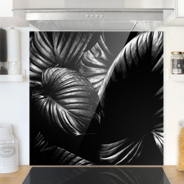 Wanddeko Küche Schwarz Weiß Botanik Hosta