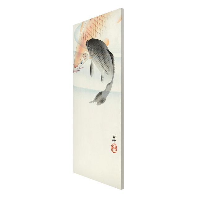 Magnettafeln Tiere Vintage Illustration Asiatische Fische I