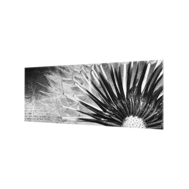Spritzschutz Glas - Pusteblume Schwarz & Weiß - Panorama - 5:2