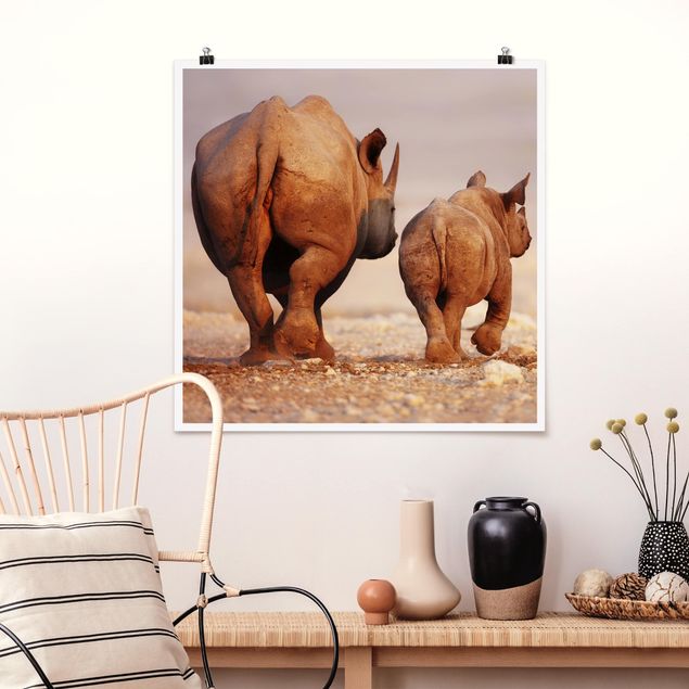Poster Tiere Wandering Rhinos