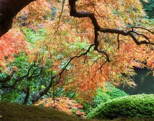 selbstklebende Klebefolie Japanischer Garten