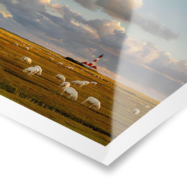 Poster Natur Nordsee Leuchtturm mit Schafsherde