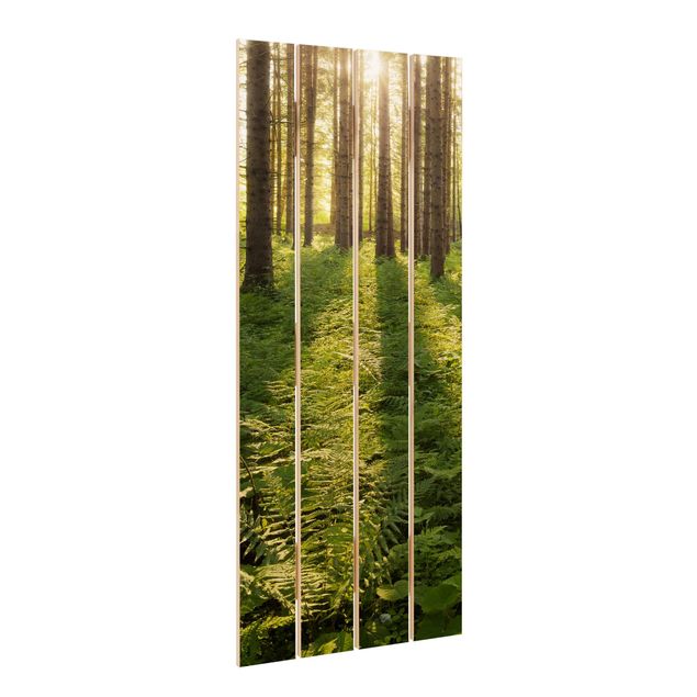 Bilder auf Holz Sonnenstrahlen in grünem Wald