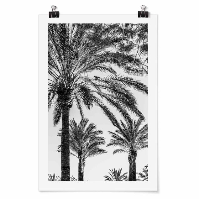 Kunstkopie Poster Palmen im Sonnenuntergang Schwarz-Weiß