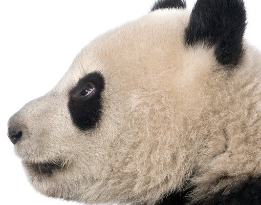 selbstklebende Fliesen Stehender Panda