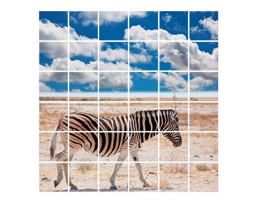 Klebefolien Zebra in der Savanne