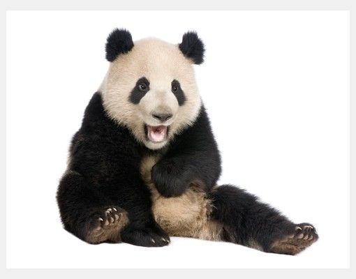 Fenstersticker Tiere Lachender Panda