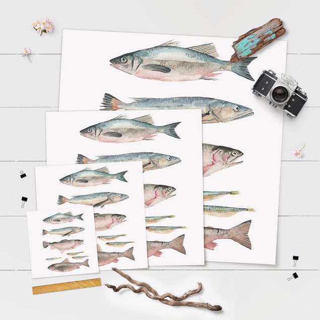 Poster kaufen Sieben Fische in Aquarell I