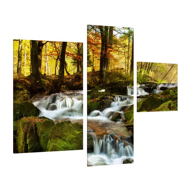 Wandbilder Bäume Wasserfall herbstlicher Wald