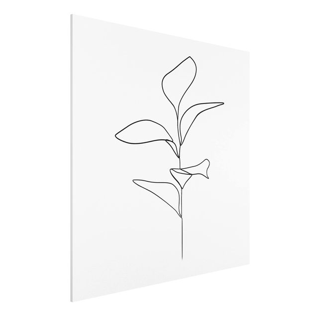 Kunststile Line Art Pflanze Blätter Schwarz Weiß