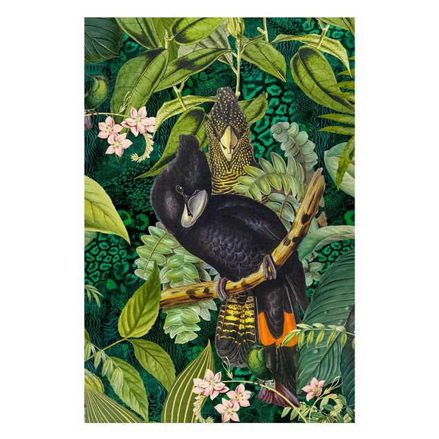 Wandbilder Dschungel Bunte Collage - Kakadus im Dschungel
