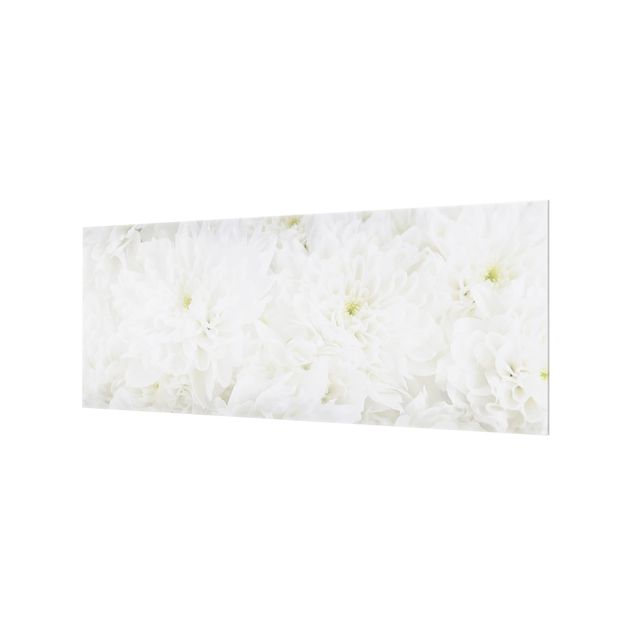 Spritzschutz Glas - Dahlien Blumenmeer weiß - Panorama - 5:2