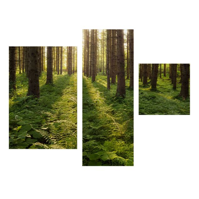 Wandbilder Berge Sonnenstrahlen in grünem Wald