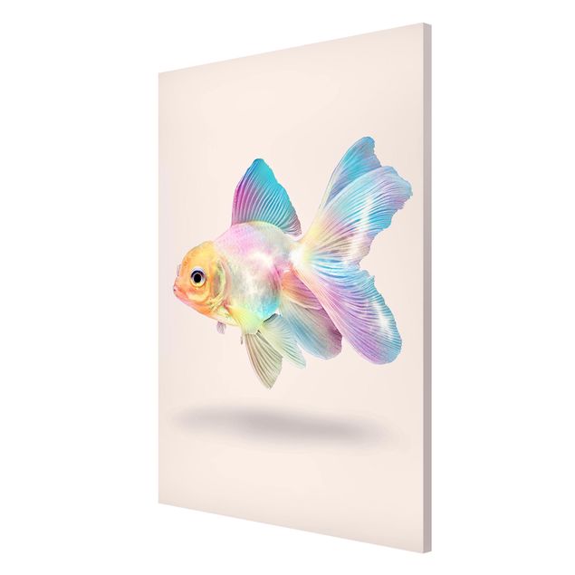 Magnettafeln Tiere Fisch in Pastell