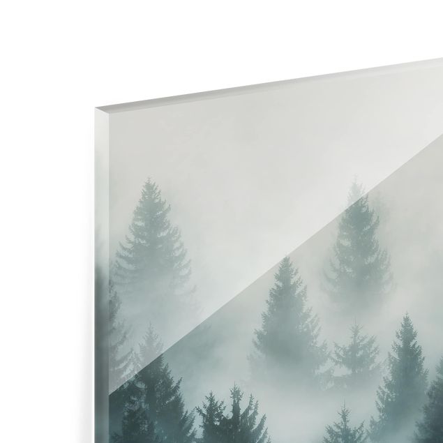 Spritzschutz Glas - Nadelwald im Nebel - Querformat - 3:2