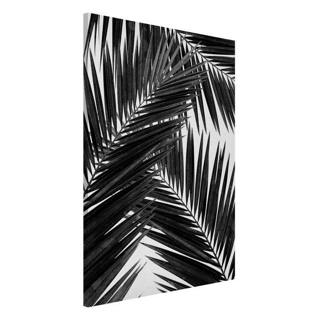 Wanddeko Küche Blick durch Palmenblätter schwarz weiß