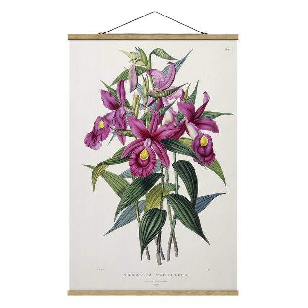 Wandbilder Floral Maxim Gauci - Orchidee I