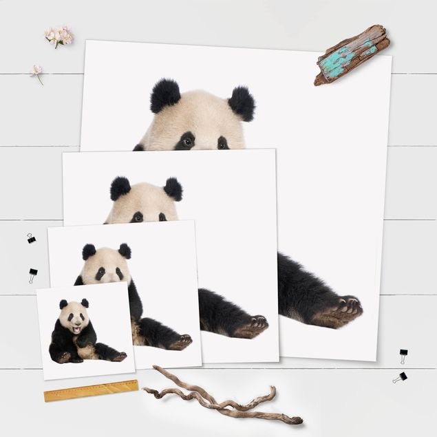 Poster Lachender Panda