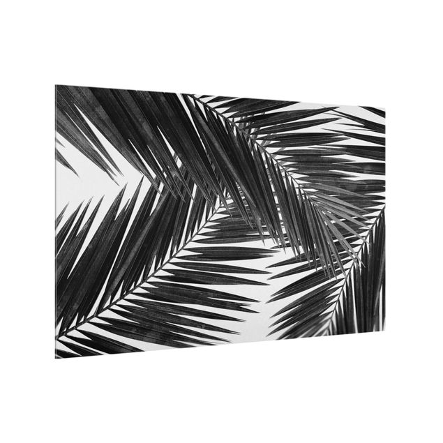 Spritzschutz Küche Glas Blick durch Palmenblätter Schwarz-Weiß