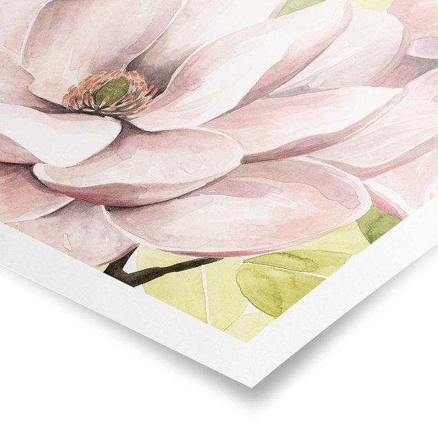 Wandbilder Blumen Magnolie errötet I