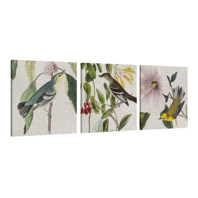 Wandbilder Floral Vögel auf Leinen Set I