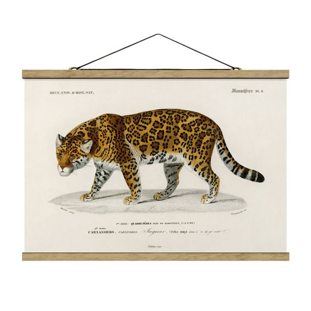 Wandbilder Retro Vintage Lehrtafel Jaguar