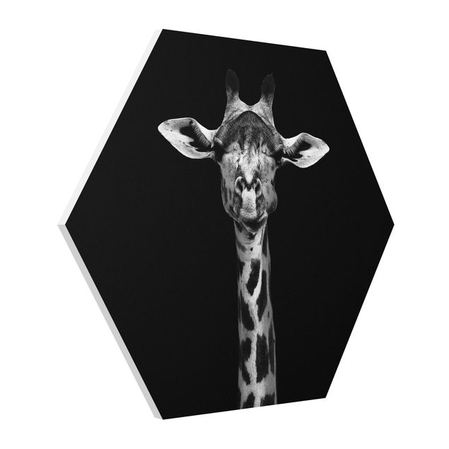 Wandbilder Modern Dunkles Giraffen Portrait