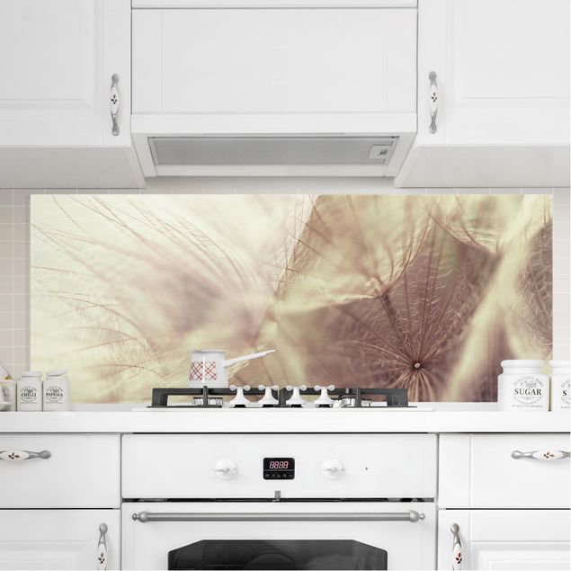Wanddeko Küche Detailreiche Pusteblumen Makroaufnahme mit Vintage Blur Effekt