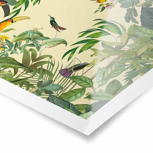 Wandbilder Bunt Vintage Collage - Vögel im Dschungel