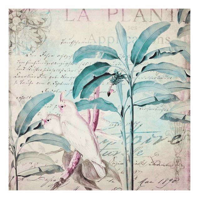 Wandbilder Floral Colonial Style Collage - Kakadus und Palmen