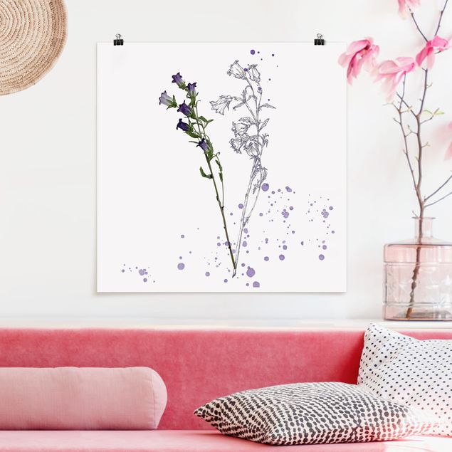 Poster mit Blumen Botanisches Aquarell - Glockenblume