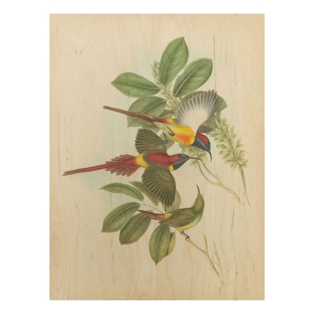 Holzbilder Blumen Vintage Illustration Tropische Vögel III